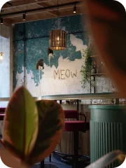 Meow bar (Мск)