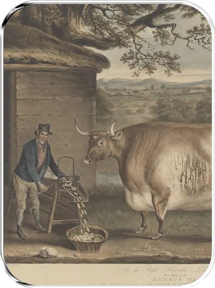 painting with a large bull