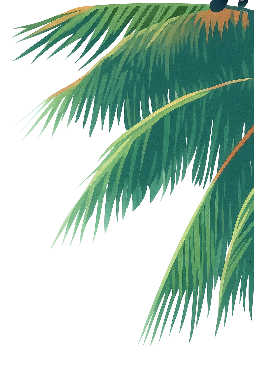 palm