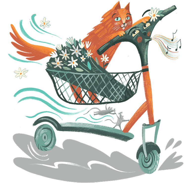 cat riding a samokat